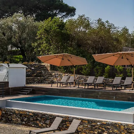 - Attico Vista Mare Con Terrazza E Piscina * Rapallo